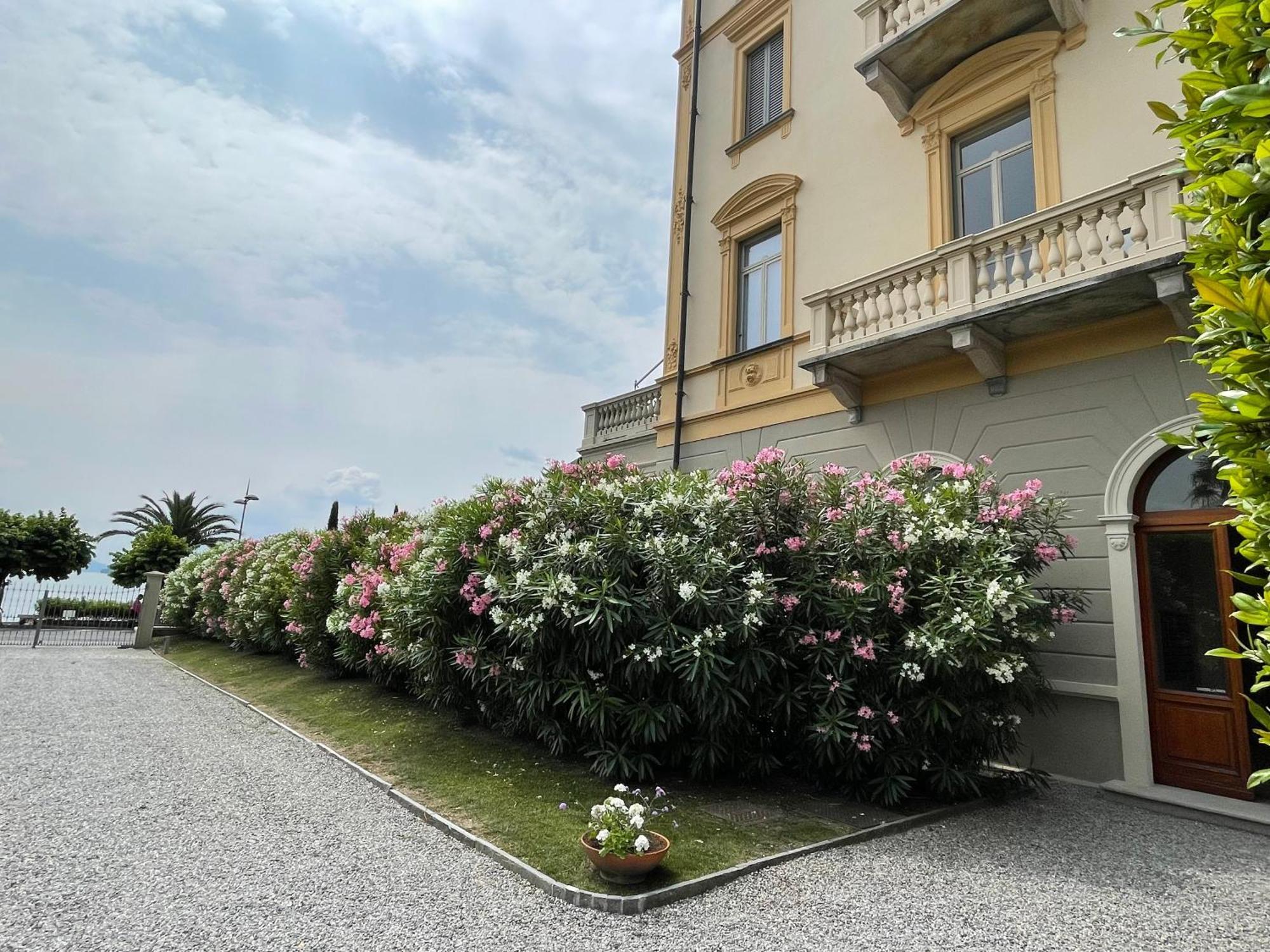 Residenza Victoria Leilighet Menaggio Eksteriør bilde